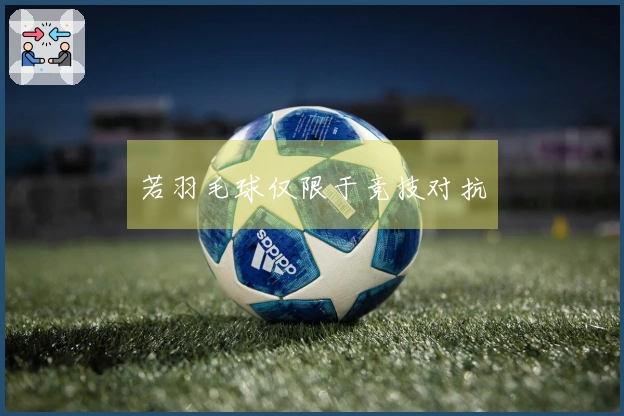若羽毛球仅限于竞技对抗