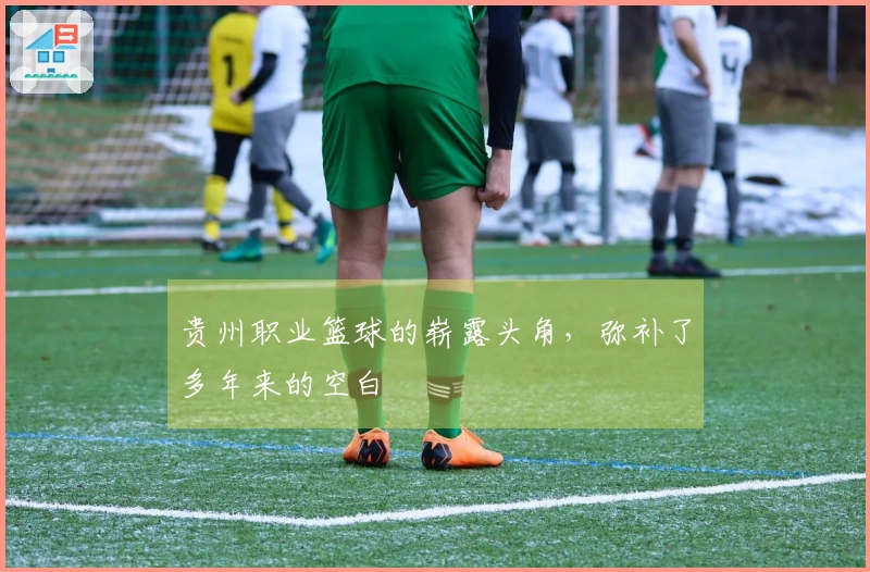 贵州职业篮球的崭露头角，弥补了多年来的空白