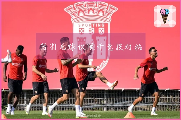 若羽毛球仅限于竞技对抗