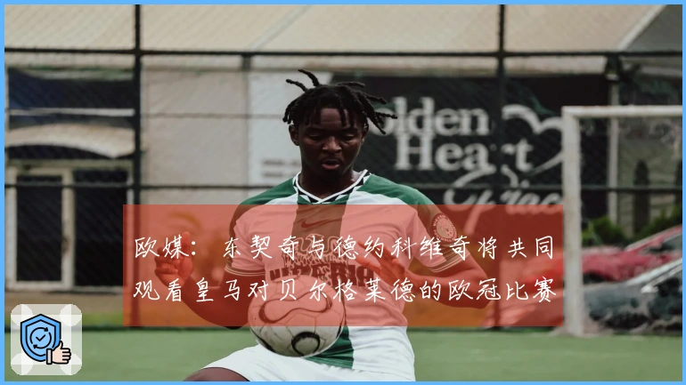 欧媒：东契奇与德约科维奇将共同观看皇马对贝尔格莱德的欧冠比赛