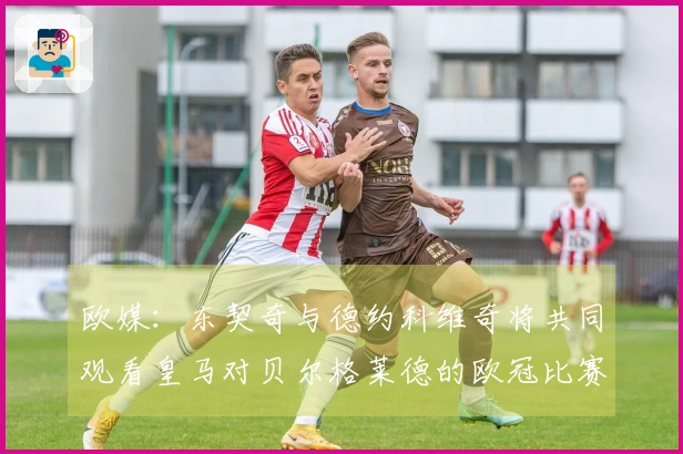 欧媒：东契奇与德约科维奇将共同观看皇马对贝尔格莱德的欧冠比赛